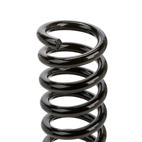 Ridex 188C3638 Coil Spring, photo 3