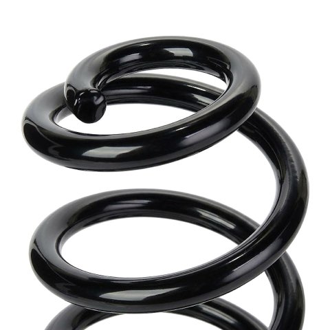 Ridex 188C3722 Coil Spring, photo 3