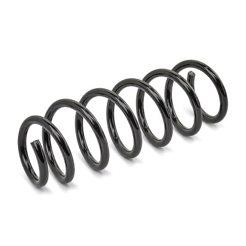 Ridex 188C3739 Coil Spring, photo 2