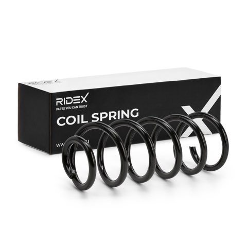 Ridex 188C3843 Coil Spring