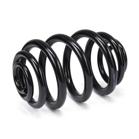 Ridex 188C3850 Coil Spring, photo 2