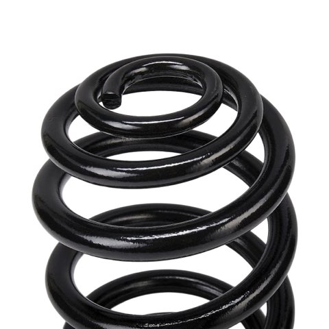 Ridex 188C3850 Coil Spring, photo 3