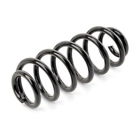 Ridex 188C3853 Coil Spring, photo 2