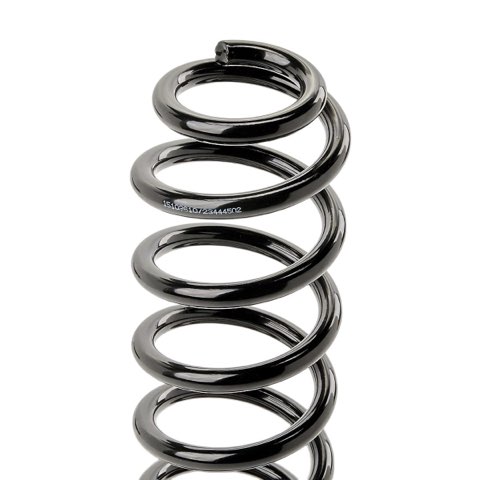 Ridex 188C3853 Coil Spring, photo 3