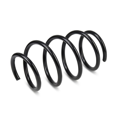 Ridex 188C3863 Coil Spring, photo 2