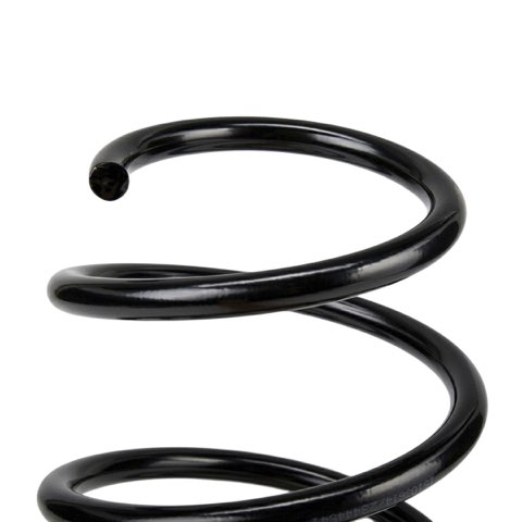 Ridex 188C3863 Coil Spring, photo 3