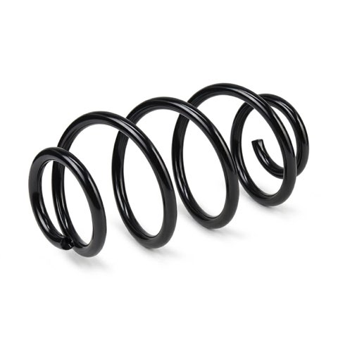 Ridex 188C3897 Coil Spring, photo 2