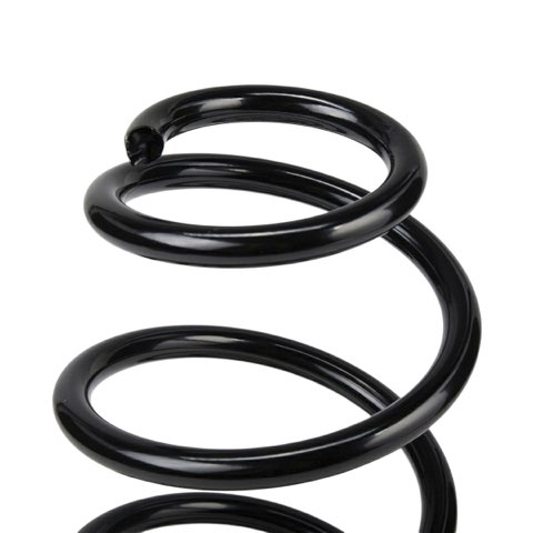 Ridex 188C3897 Coil Spring, photo 3
