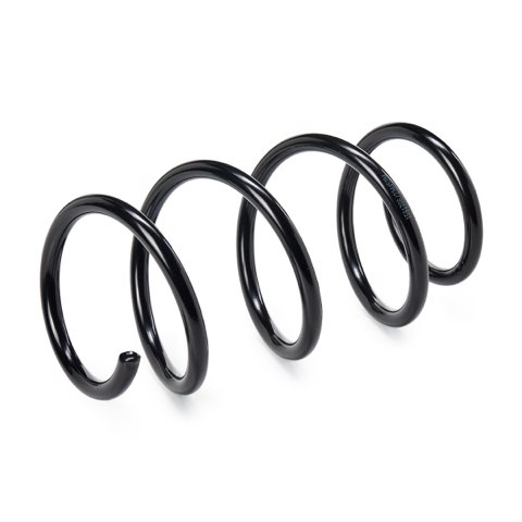 Ridex 188C3913 Coil Spring, photo 2