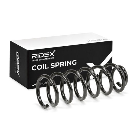 Ridex 188C3941 Coil Spring