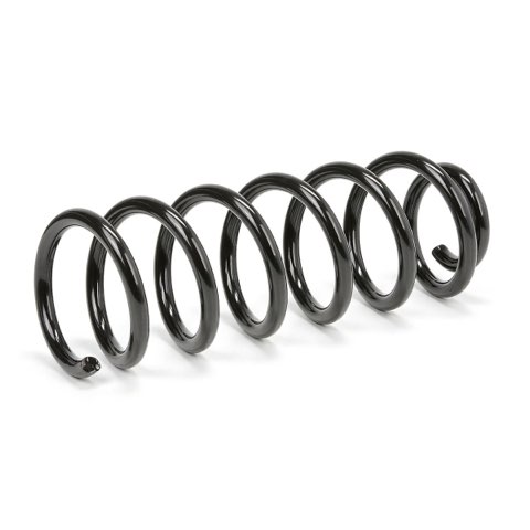 Ridex 188C3941 Coil Spring, photo 2