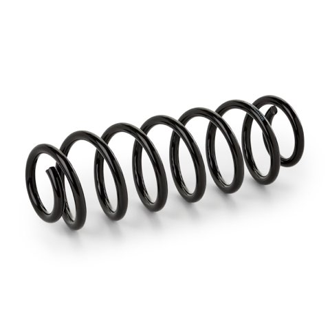 Ridex 188C3950 Coil Spring, photo 2