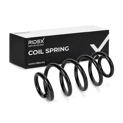 Ridex 188C4254 Coil Spring