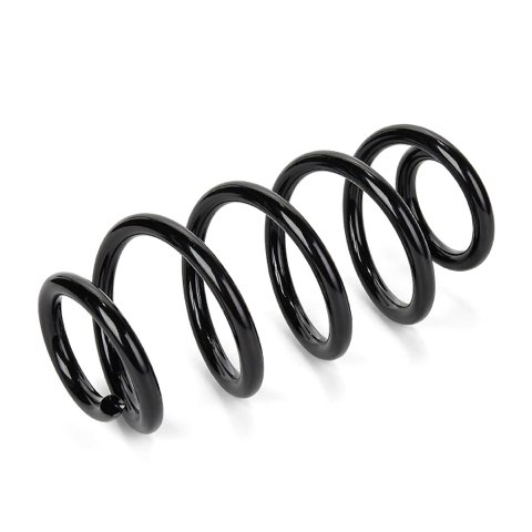 Ridex 188C4254 Coil Spring, photo 2