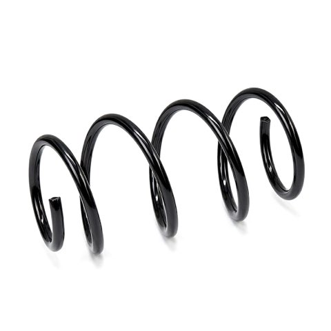 Ridex 188C4320 Coil Spring, photo 2