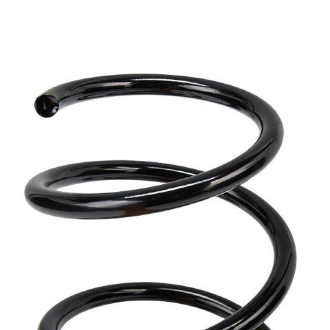 Ridex 188C4320 Coil Spring, photo 3