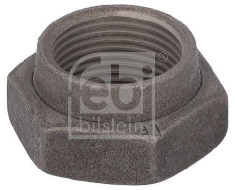 Febi Bilstein 19159 Nut, Stub Axle