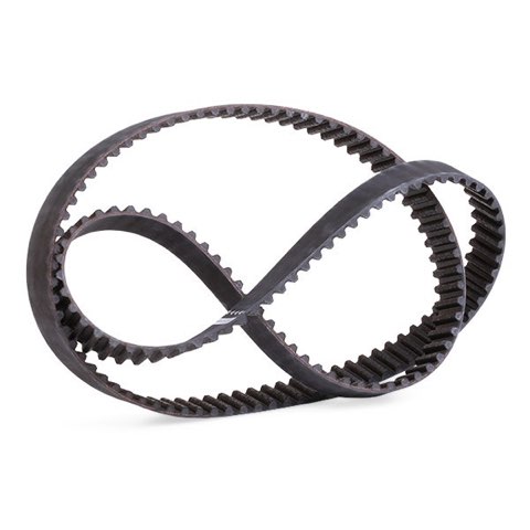 Febi Bilstein 19546 Timing Belt, photo 3