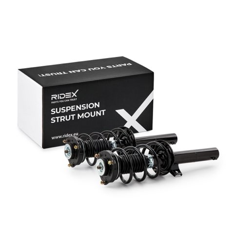 Ridex 198S0080 Suspension Strut