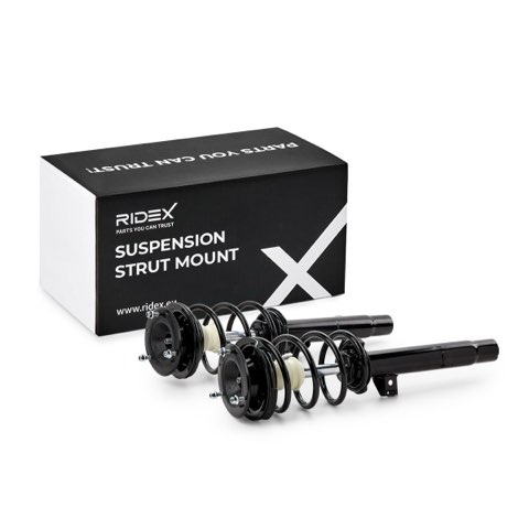Ridex 198S0084 Suspension Strut