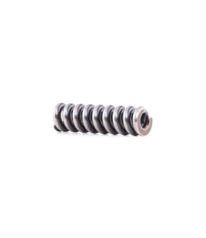 Bosch 2 434 614 041 Spring