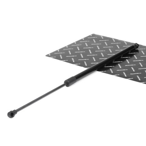 Ridex 219G0009 Tailgate Strut, photo 2