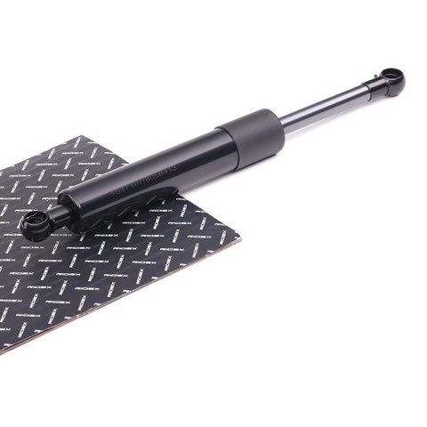 Ridex 219G0045 Tailgate Strut, photo 2
