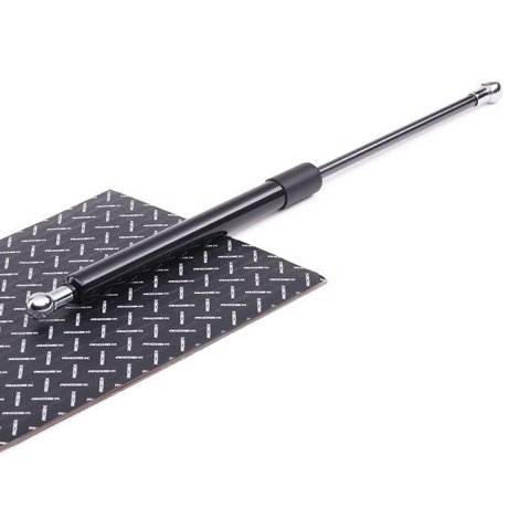 Ridex 219G0106 Tailgate Strut, photo 2