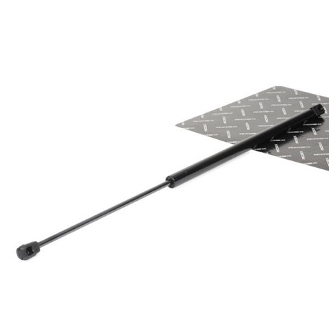 Ridex 219G0114 Tailgate Strut, photo 3