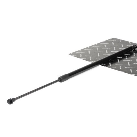 Ridex 219G0134 Tailgate Strut, photo 3