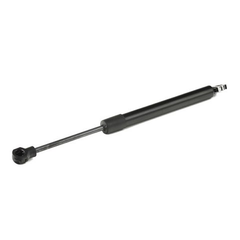 Ridex 219G0216 Tailgate Strut, photo 3