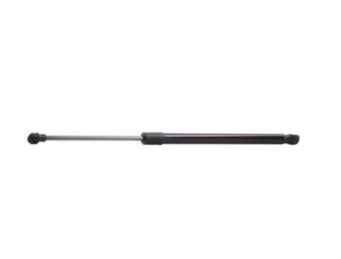 Ridex 219G0242 Tailgate Strut