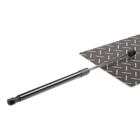 Ridex 219G0250 Tailgate Strut, photo 2