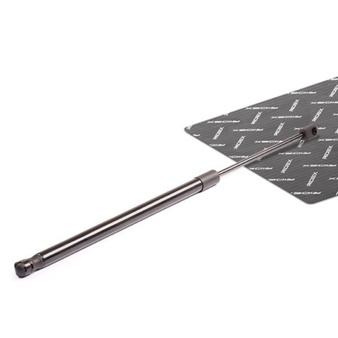 Ridex 219G0307 Tailgate Strut, photo 2