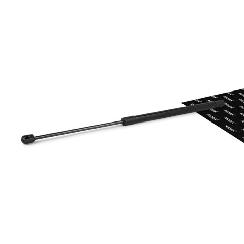 Ridex 219G0317 Tailgate Strut, photo 2