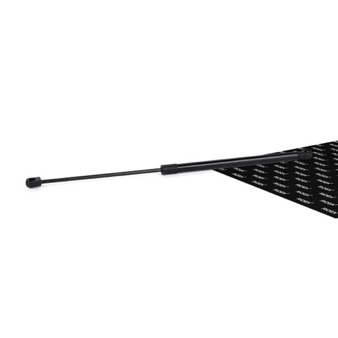 Ridex 219G0319 Tailgate Strut, photo 2
