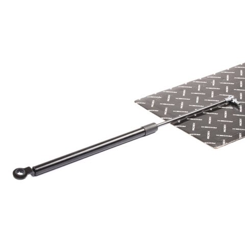 Ridex 219G0442 Tailgate Strut, photo 2