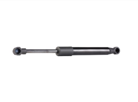 Ridex 219G0479 Tailgate Strut