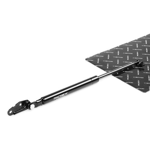 Ridex 219G0542 Tailgate Strut, photo 2