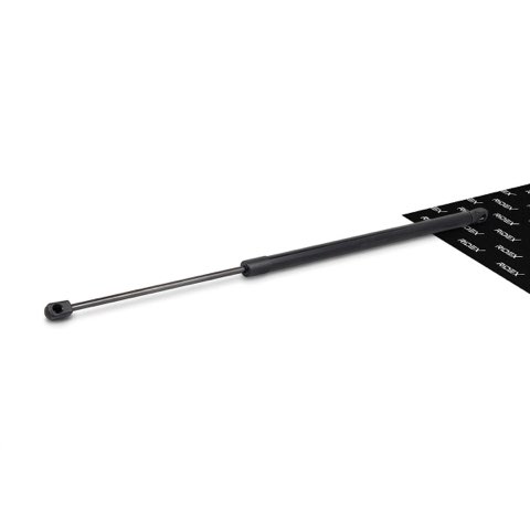 Ridex 219G0576 Tailgate Strut, photo 2