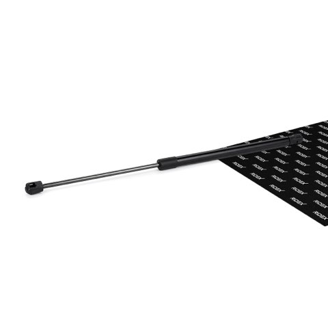 Ridex 219G0591 Tailgate Strut, photo 2