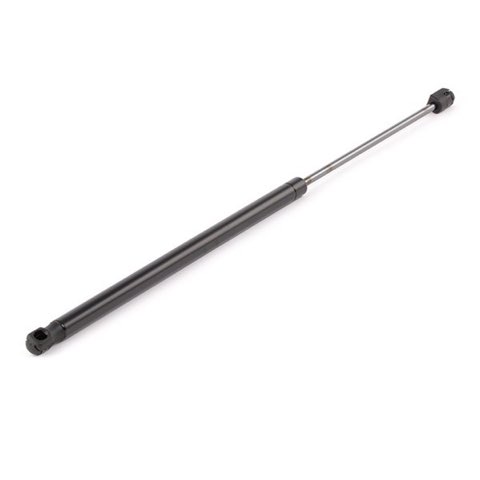 Ridex 219G0594 Tailgate Strut, photo 3