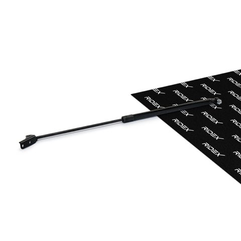 Ridex 219G0595 Tailgate Strut