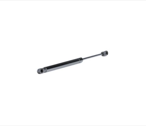 Ridex 219G0597 Tailgate Strut