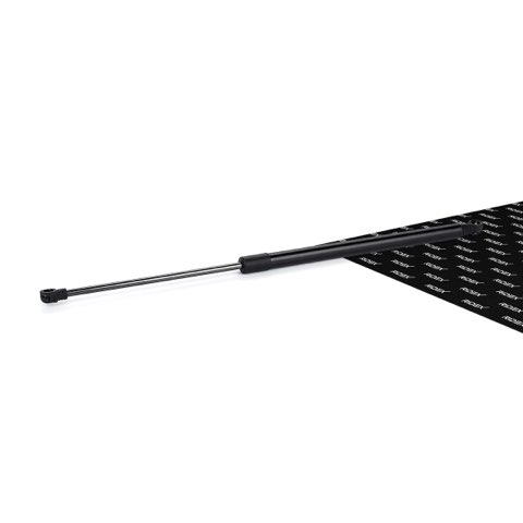 Ridex 219G0618 Tailgate Strut, photo 2