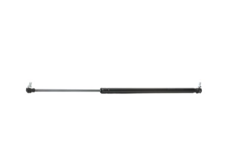 Ridex 219G0706 Tailgate Strut