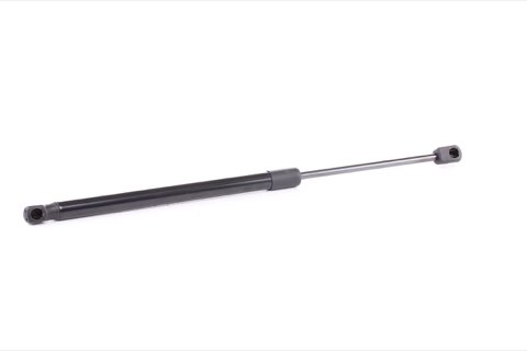 Ridex 219G0738 Tailgate Strut