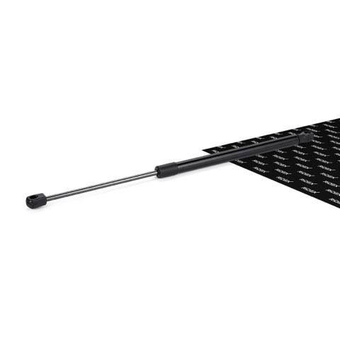 Ridex 219G0741 Tailgate Strut, photo 2