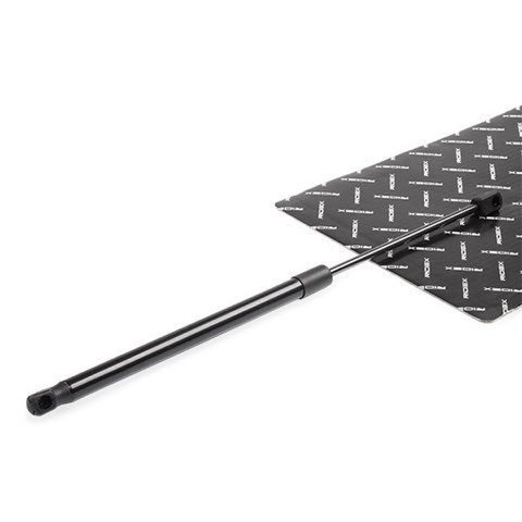 Ridex 219G0741 Tailgate Strut, photo 3