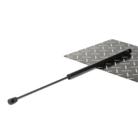 Ridex 219G0769 Tailgate Strut, photo 3